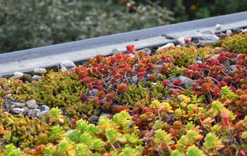 the cost of Hawkcombe green roof installation
