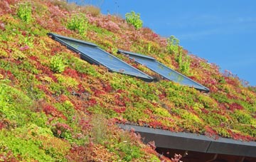 Hawkcombe living roof systems